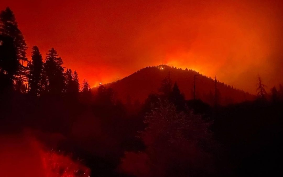 Oregon loses at least seven cannabis businesses in wildfires; more damaged