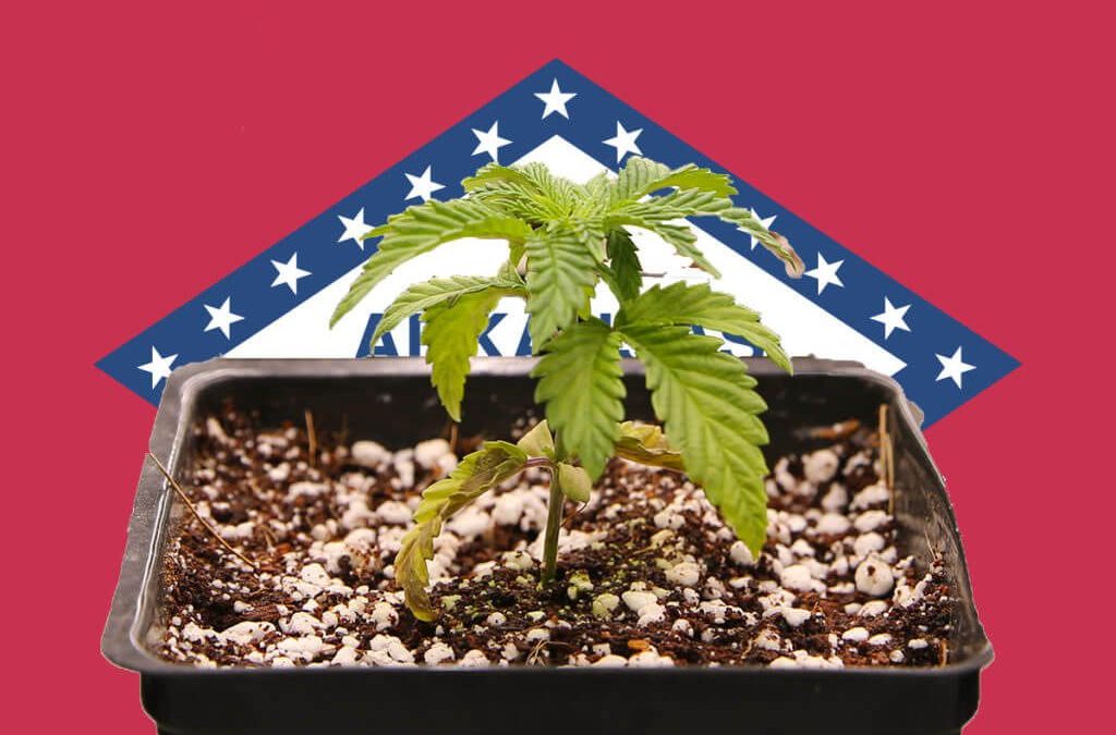 Arkansas reaches $187 million in medical cannabis sales