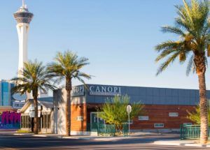 CWNevada’s receivership might offer blueprint to other financially strapped cannabis businesses