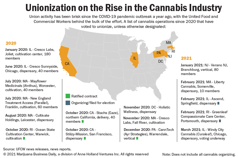 Marijuana union organizing surging amid pandemic, uptick in labor peace requirements